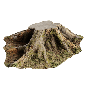 Nature Models